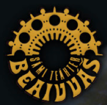 beaivvas logo
